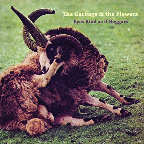 CD cover featuring two brown sheep entangled on green grass.