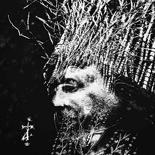 Black and white album cover with a man's face and twig-like hair.