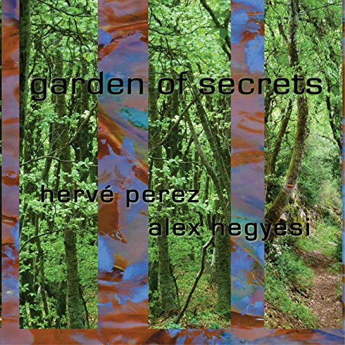 "CD cover with forest scene, abstract stripes, and black text."