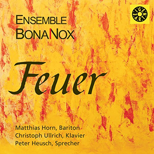 "CD cover with yellow and red abstract background, featuring 'Feuer' and 'Ensemble BonaNox' text."