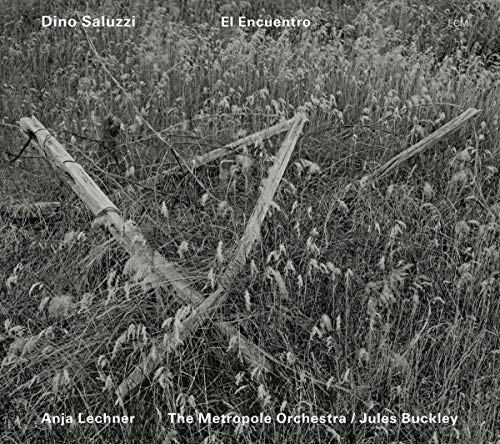 Black and white CD cover with fallen wooden poles in tall grass.