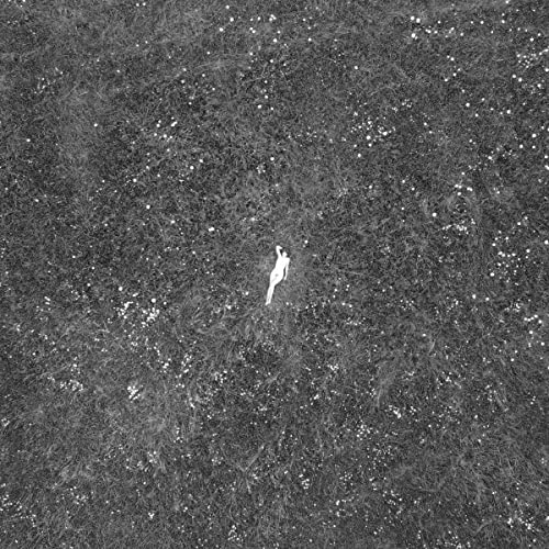 Black and white album cover with a person lying in a field.