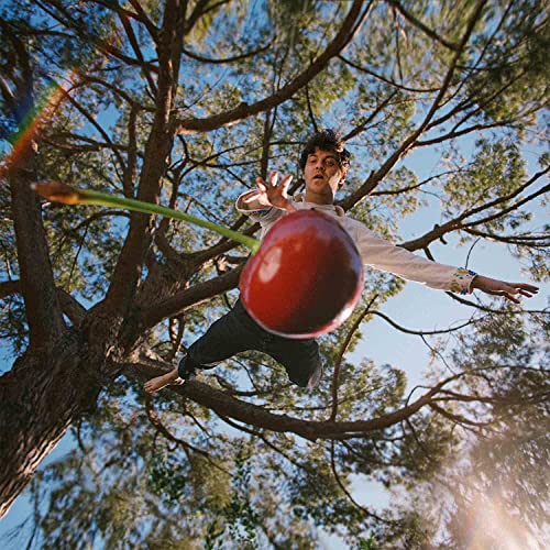 Man on a tree branch with a red bouncy ball.