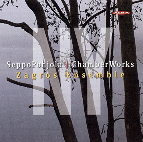 CD cover with stark tree branches against a grey, cloudy sky.