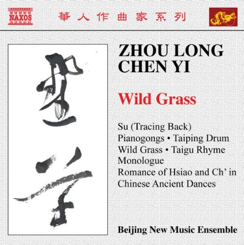 "CD cover with Chinese calligraphy and text on a gray patterned background."