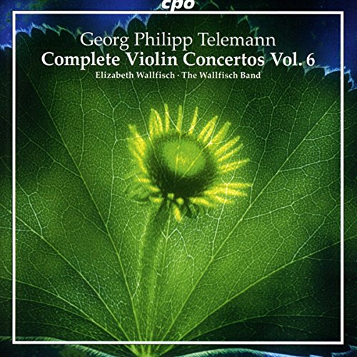 CD cover for Telemann’s Violin Concertos Vol. 6, featuring a sunflower.