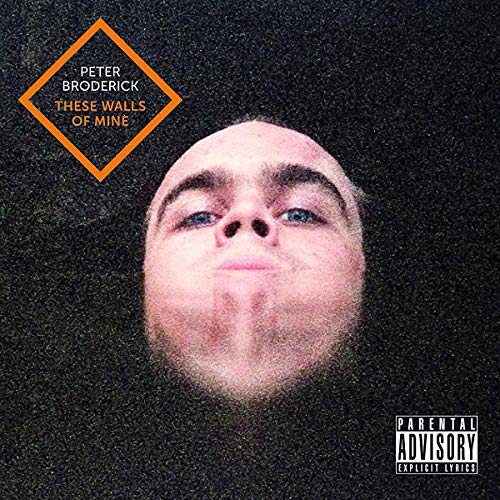 Album cover featuring a distorted portrait of a man against a black textured background.