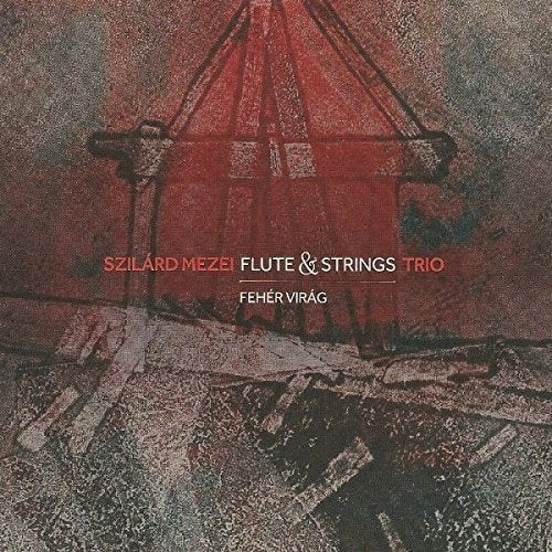 "Album cover with abstract red and grey design, featuring text 'Szilard Mezei Flute & Strings'."