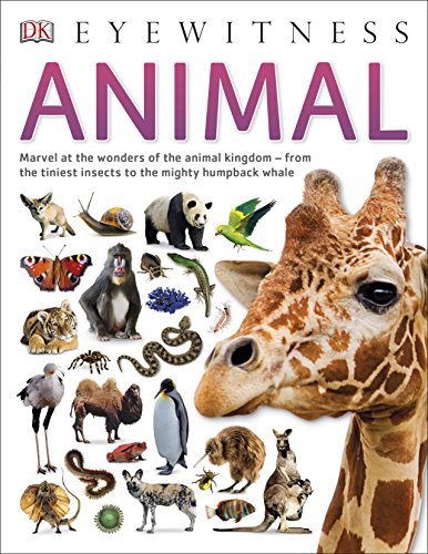 Animal (DK Eyewitness)