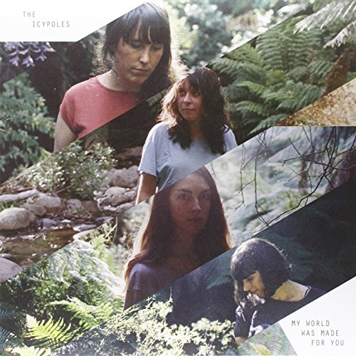 Album cover for The Icypoles featuring fragmented portraits of four people.