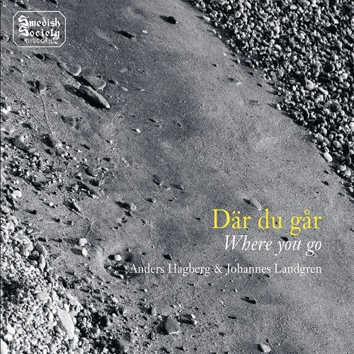 "Album cover with black and white gravel image and yellow and white text."