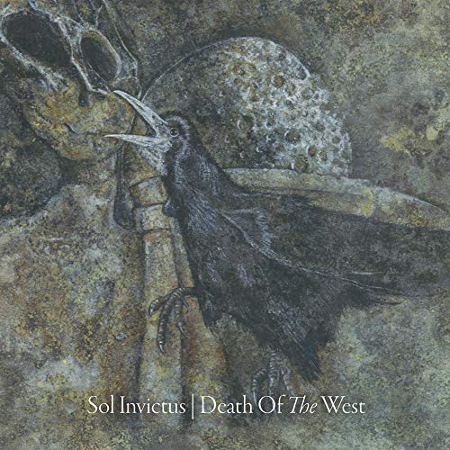 A black crow stands before a textured, weathered stone surface with an orb shape.