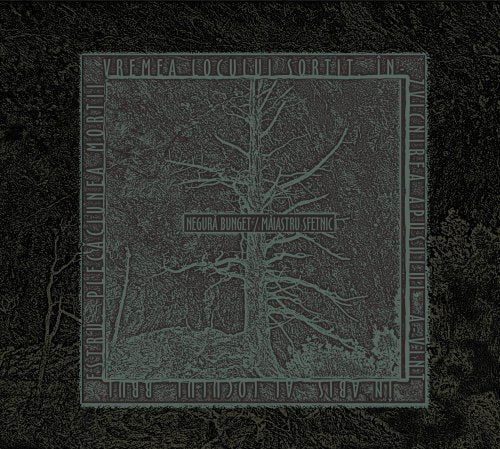Dark album cover featuring a bare tree inside a square frame with Romanian text.