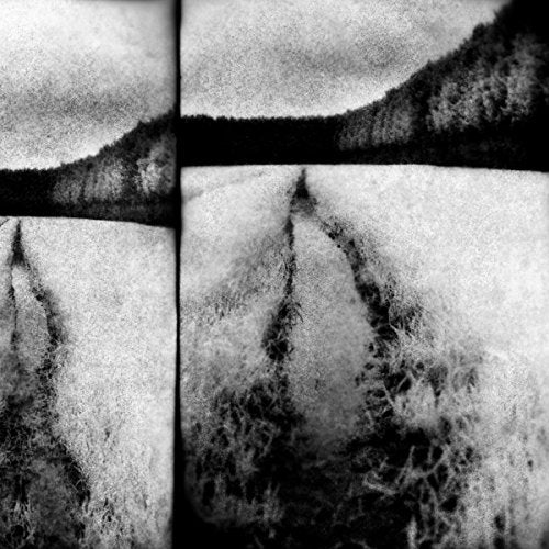 Black and white abstract art, divided into four textured panels.