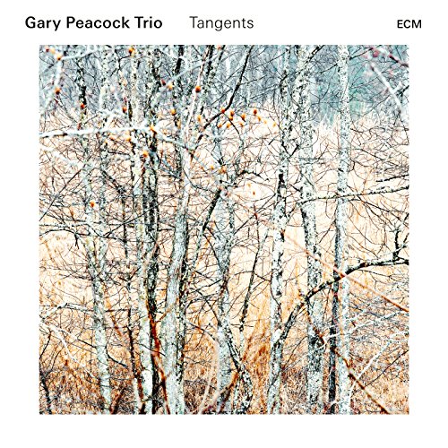Album cover with abstract tree branches in shades of white, orange, and black.