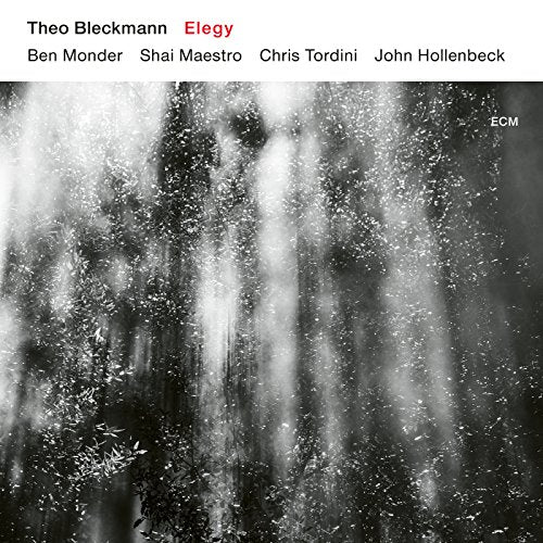 "Album cover with black-and-white waterfall image and white header listing artist and musicians."