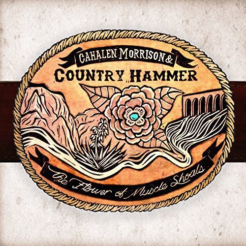 Vinyl album cover with oval illustration of mountain, flower, and building.