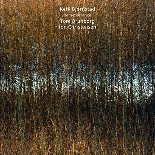 "Album cover featuring a serene image of thin, bare tree branches against a body of water."