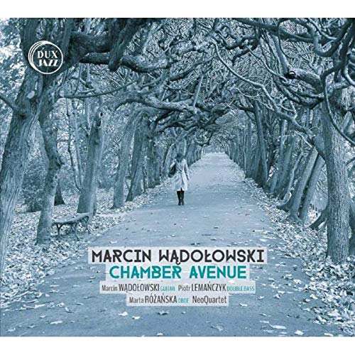 "Album cover with a person walking down a tree-lined path, blue-toned image."