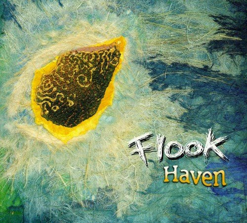 The image depicts an abstract album cover for "Flook - Haven" with a central dark shape.
