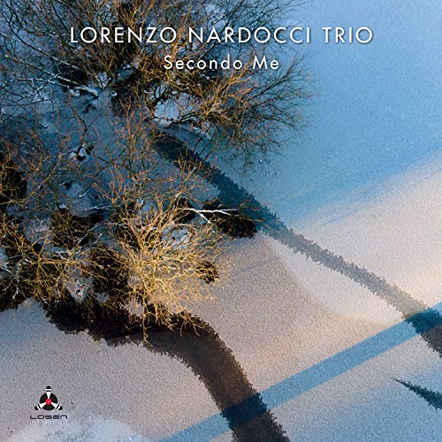 CD cover for Lorenzo Nardocci Trio’s “Secondo Me” with abstract winter tree image.