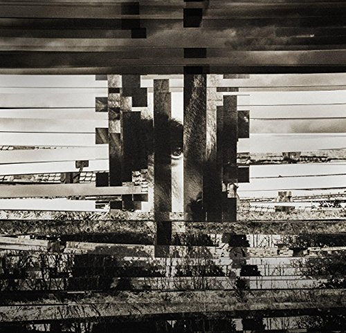 A distorted black-and-white image of a horse's head behind a wooden fence.