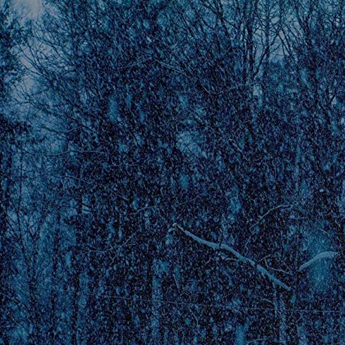 Dark blue album cover depicting a dense, snowy forest scene.
