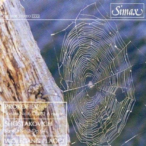 A CD cover featuring a spider web on a tree trunk with blue background.