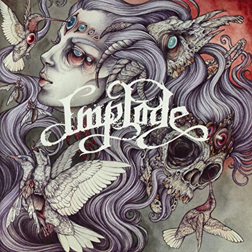 CD cover art: surreal illustration of a face, birds, and skull.