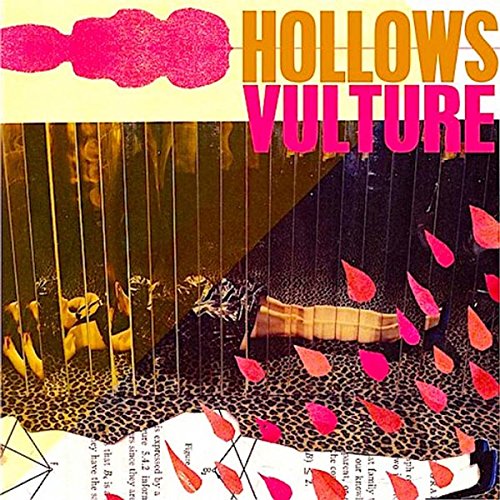 "Album cover with 'Hollows Vulture' in orange and pink text, abstract design."