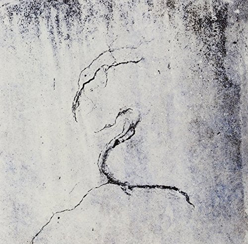 The alt text for the image is: "Vinyl record sleeve with abstract black design on a grey background."