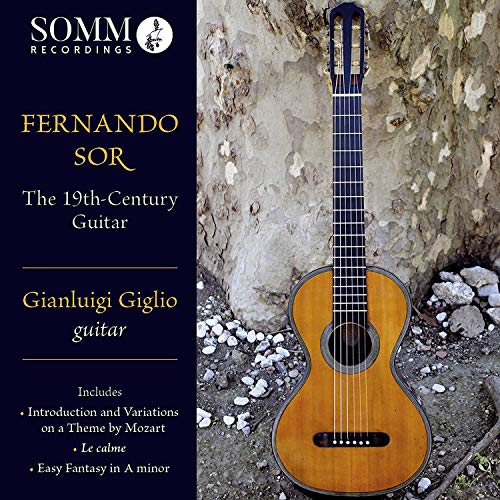 "CD cover with a guitar leaning against a stone wall, dark blue background."