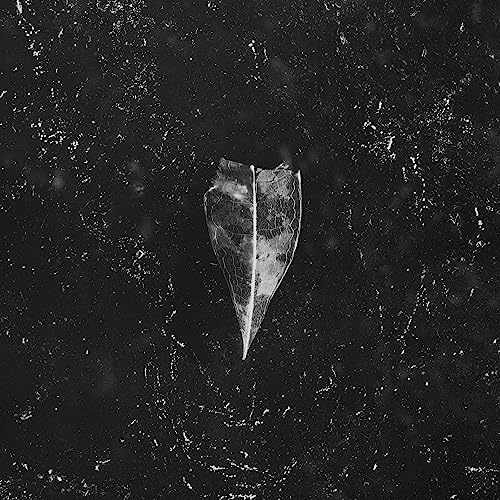 Black and white album cover with a leaf-shaped central image.