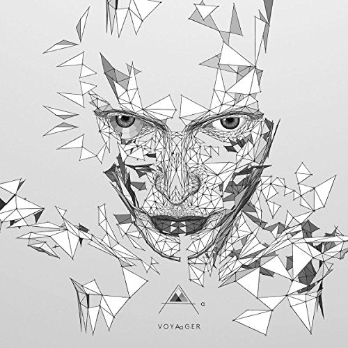 A grayscale geometric illustration of a face surrounded by scattered triangles on a light background.
