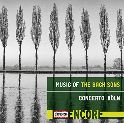 "CD cover with a serene black-and-white landscape and green text overlay."