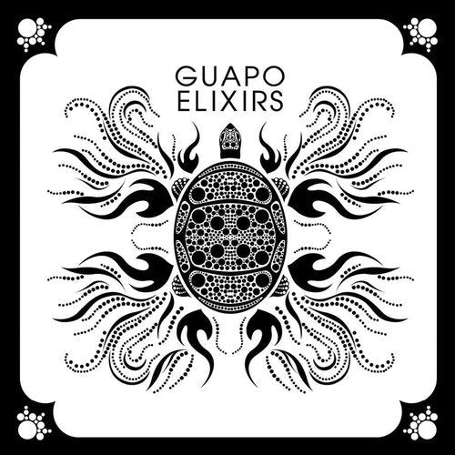 "Album cover with black turtle illustration on white background, surrounded by decorative swirls."
