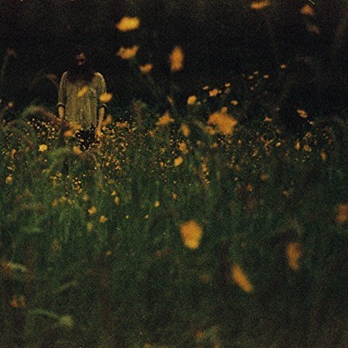 Person in a field of blurred yellow flowers, dark green foliage.