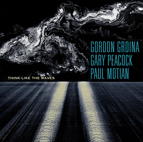Album cover for “Think Like The Waves” by Grdina, Peacock & Motian.