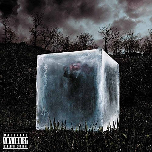 Person encased in ice block against a bleak, cloudy landscape.