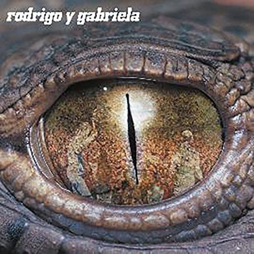 The alt text for the image is: "Close-up of a reptile's eye with vertical pupil."