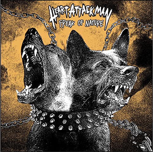 Two snarling dogs wearing a spiked collar against an orange and black background.