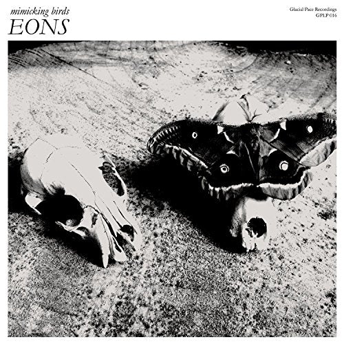 "Black and white album cover featuring a skull and a moth on the ground."