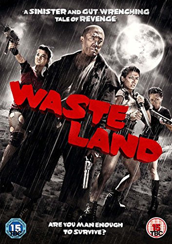 DVD cover for “Wasteland” featuring four figures with weapons in a desolate landscape.