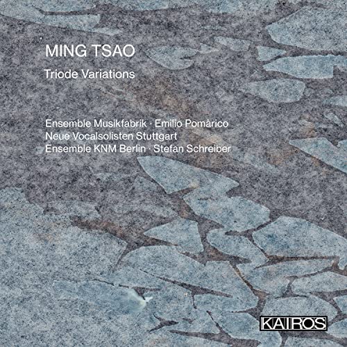 CD cover for Ming Tsao’s “Triode Variations” with a cracked stone texture.