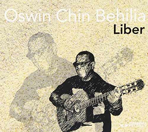 Album cover with a man playing guitar, shadowed on a sandy background.