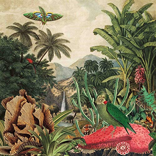 Vintage-style botanical illustration with tropical plants, birds, and a flying machine.