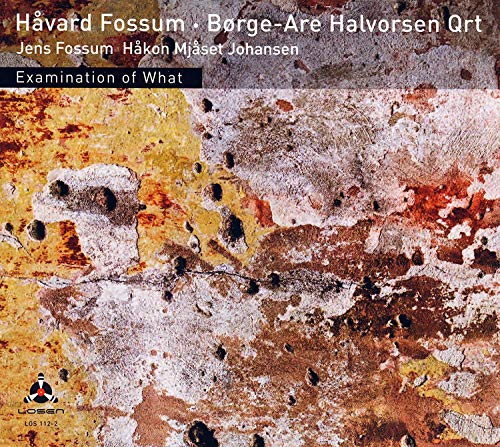 "Album cover with abstract, multicolored textured background and white text." is the solution.