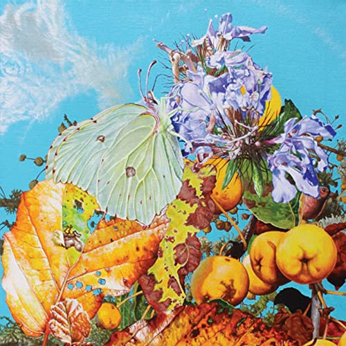 CD cover with collage of flowers, leaves, and fruit in vibrant colors.