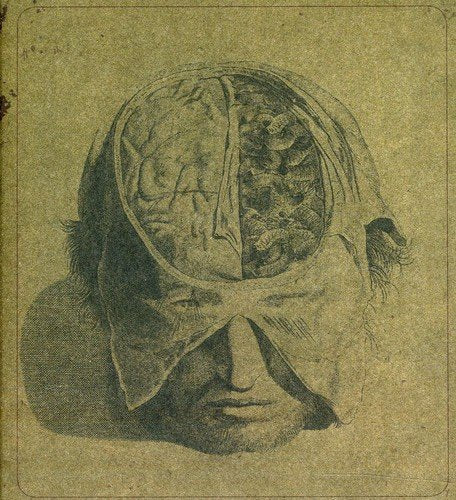 Sepia-toned CD cover art depicting a head with insect imagery.