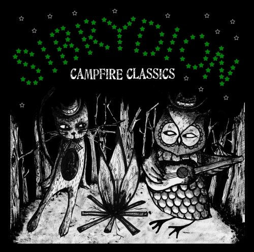 "Album cover with cat and owl sitting by a campfire, playing instruments."